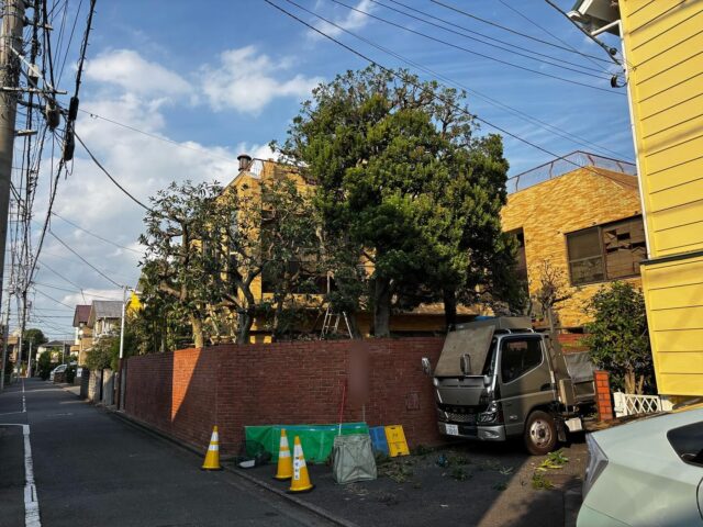 杉並区K邸様

秋晴れ🎃🍁🍄🌰
暑いけどここちい
蚊🦟もまだ活動中

#造園#庭師#土木#植木販売#アーボリスト#空師#エクステリア工事#外構工事#日本庭園#洋風庭園#ブロック工事#フェンス工事#街路樹管理#草刈#剪定#伐採#解体工事#zouen#職人さん募集中です🤩