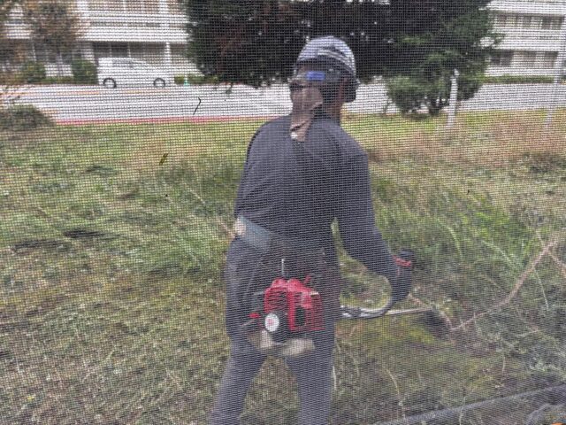 草刈り𝐬𝐭𝐚𝐫𝐭
👷‍♀️ご安全に👷
とてつもなくBIGな巣🐝࿆
明日、専門業者にて駆除
お願いします🙏
TKZ様お世話になっております
m(_ _)m

#造園#庭師#土木#植木販売#アーボリスト#空師#エクステリア工事#外構工事#日本庭園#洋風庭園#ブロック工事#フェンス工事#街路樹管理#草刈#剪定#伐採#解体工事#zouen#職人さん募集中