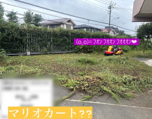 安全運転中👷👷👷

#造園#庭師#土木#植木販売#アーボリスト#空師#エクステリア工事#外構工事#日本庭園#洋風庭園#ブロック工事#フェンス工事#街路樹管理#草刈#剪定#伐採#解体工事#zouen#職人さん募集中