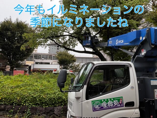 武蔵境駅
つぼみ装飾さん
今年もよろしくお願いします☺️
#造園#庭師#土木#植木販売#アーボリスト#空師#エクステリア工事#外構工事#日本庭園#洋風庭園#ブロック工事#フェンス工事#街路樹管理#草刈#剪定#伐採#解体工事#zouen#職人さん募集中