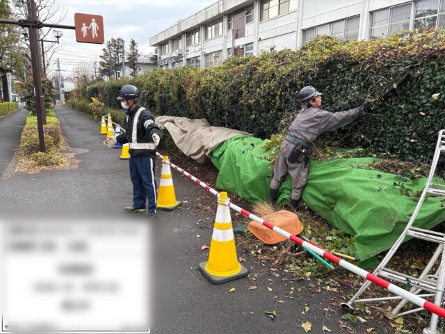 今年もあと少し‼️
怪我事故ZEROで締めくくりましょ👷
𝗙𝗶𝗴𝗵𝘁·͜·♡𝗙𝗶𝗴𝗵𝘁·͜·♡𝗙𝗶𝗴𝗵𝘁·͜·♡
#造園#庭師#土木#植木販売#アーボリスト空師エクステリア工事外構工事日本庭園洋風庭園ブロック工事フェンス工事街路樹管理草刈剪定伐採解体工事zouen職人さん募集中
