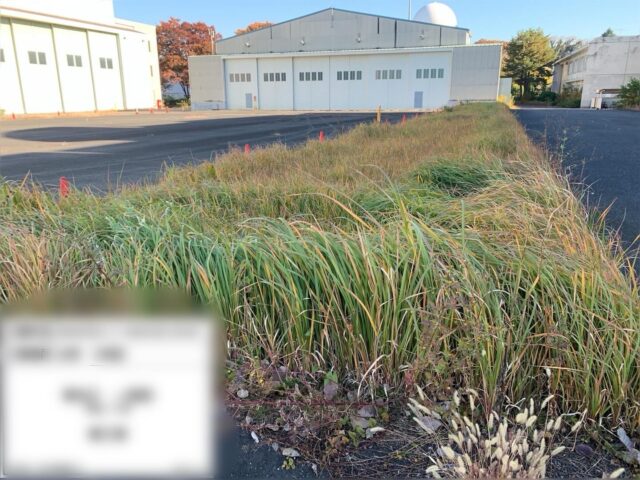 1回目草刈𝑒𝑛𝑑
ᤊ疲ૠ様ح゙ⳣ❣️
来年もがんばりましょう🙌
#造園#庭師#土木#植木販売#アーボリスト空師エクステリア工事外構工事日本庭園洋風庭園ブロック工事フェンス工事街路樹管理草刈剪定伐採解体工事zouen職人さん募集中