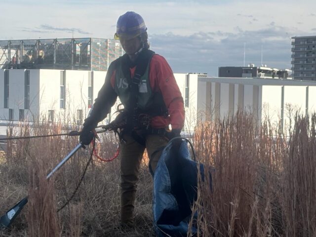 屋上緑化
この日は8階屋上緑化の草刈
安全に作業できました😊
お疲れ様でした。
#造園#庭師#土木植木販売アーボリスト空師エクステリア工事外構工事日本庭園洋風庭園ブロック工事フェンス工事街路樹管理草刈剪定伐採解体工事zouen職人さん募集中