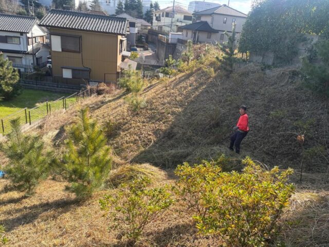 足腰鍛えるつもりで頑張ってる感じ😂
#造園#庭師#土木#植木販売#アーボリスト空師エクステリア工事外構工事日本庭園洋風庭園ブロック工事フェンス工事街路樹管理草刈剪定伐採解体工事zouen職人さん募集中