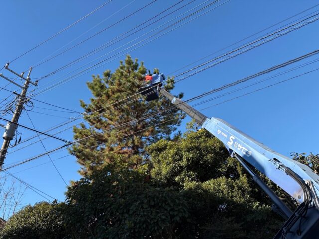 赤松剪定✂️⸜( * ॑ ॑*)⸝⋆︎*✂️ハサミパラダイス
高所作業安全第一⛑
#造園#庭師#土木#植木販売#アーボリスト空師エクステリア工事外構工事日本庭園洋風庭園ブロック工事フェンス工事街路樹管理草刈剪定伐採解体工事zouen職人さん募集中