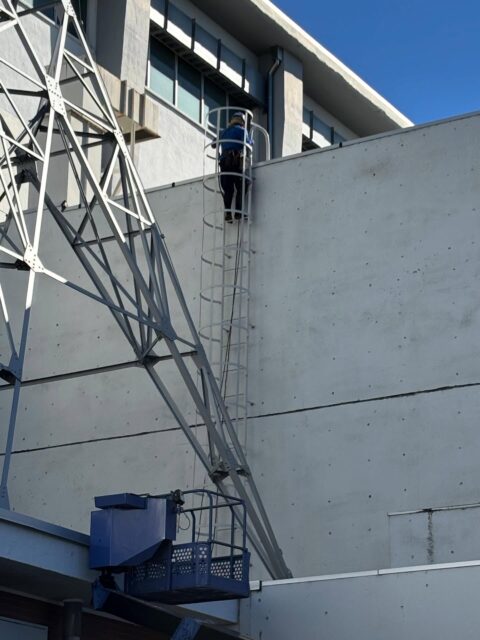 高所作業
網に絡まったツタを取りました
🌱( '-'🌱)クサチャン
安全第一⛑
上から見守る仲間と下から見守る仲間🤝
#造園#庭師#土木#植木販売#アーボリスト空師エクステリア工事外構工事日本庭園洋風庭園ブロック工事フェンス工事街路樹管理草刈剪定伐採解体工事zouen職人さん募集中
