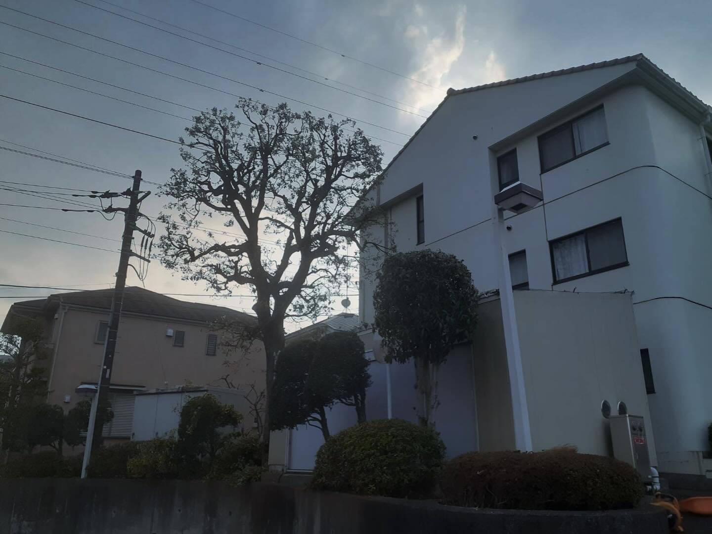 大型施設剪定除草刈込
スッキリしました😉
⁡
#造園#庭師#土木#植木販売#アーボリスト空師エクステリア工事外構工事日本庭園洋風庭園ブロック工事フェンス工事街路樹管理草刈剪定伐採解体工事zouen職人さん募集中