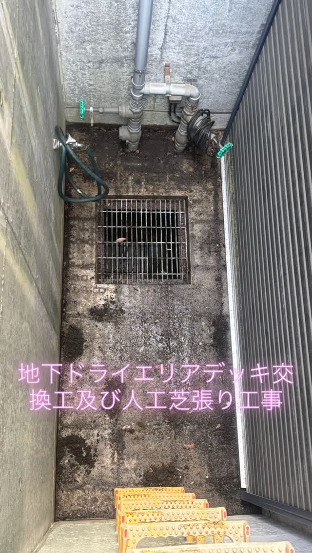 武蔵野市桜堤N様邸 地下ドライエリアデッキ交換及び人工芝張り工事施工状況
2日間お世話になりました。
ご依頼ありがとうございました☺️
⁡
#造園#庭師#土木#植木販売#エクステリア工事外構工事日本庭園洋風庭園ブロック工事フェンス工事街路樹管理草刈剪定伐採解体工事zouen職人さん募集中

フレンチブルドッグドッグショーフレンチブルドッグファンシャー多頭飼い鼻ぺちゃブヒブルアメリカタイプヨーロッパタイプTokyoドッグショーオーナーハンドラーフレンチブルドッグ専門犬舎プリケッツブルジュエルボックスふれぶるふれんちぶるどっぐ⠀
프렌치 불독 frenchiegraminstafrenchiefrenchiepuppy⠀