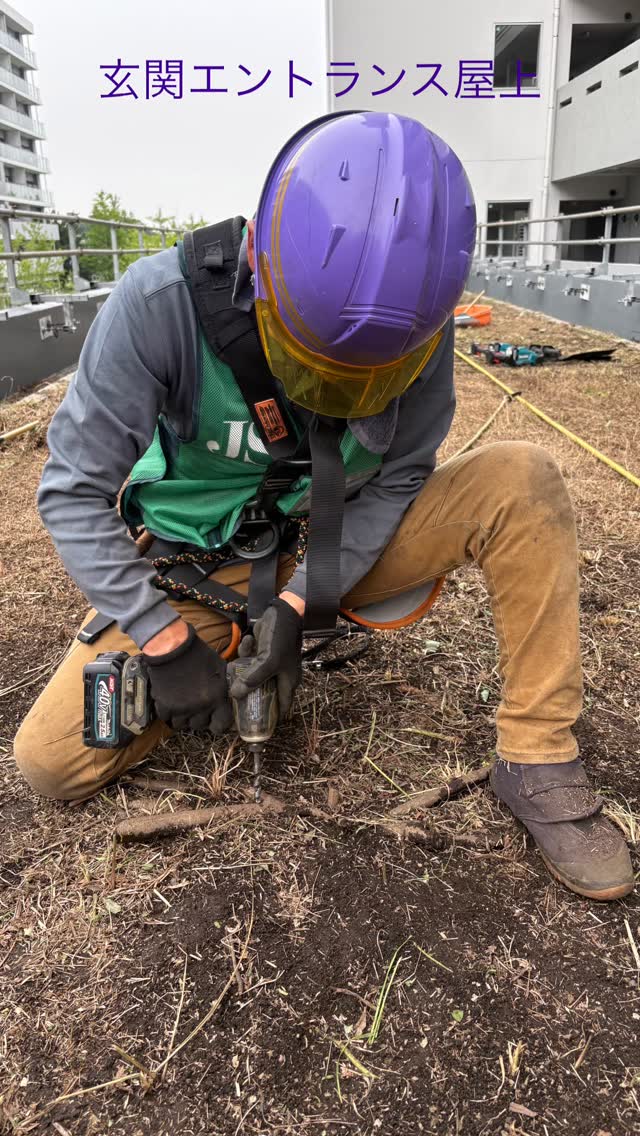 玄関エントランス屋上防草シート工事👷‍♂️
初日草刈り☘ ̖́-
久しぶりの新規入場
安全第一⛑