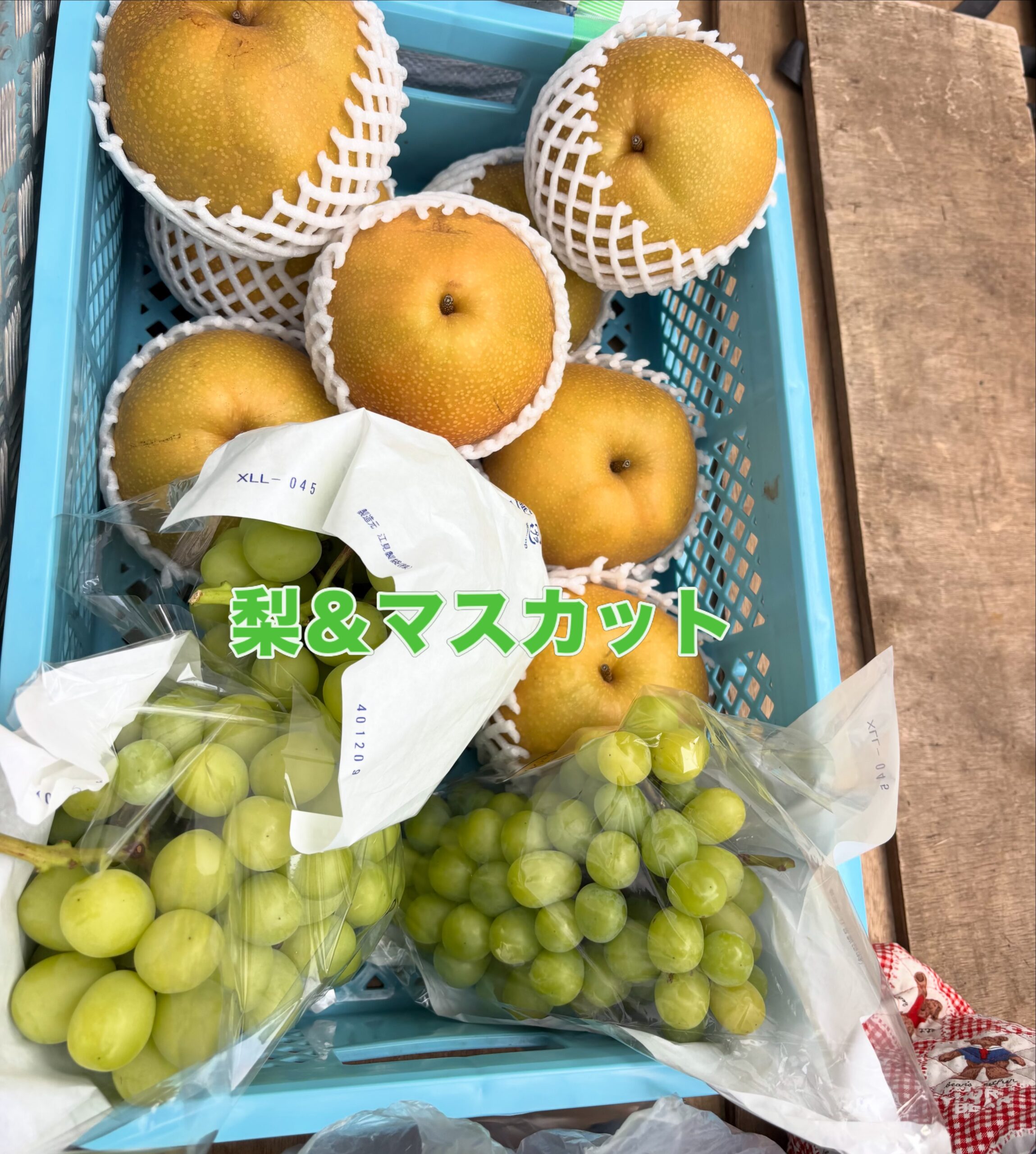 お客様の果樹園でつくられている梨＆マスカット❣️
大きくて甘い🤍とても美味しいです
⁡
#造園#庭師#土木#植木販売#エクステリア工事外構工事日本庭園洋風庭園ブロック工事フェンス工事街路樹管理草刈剪定伐採解体工事zouen職人さん募集中