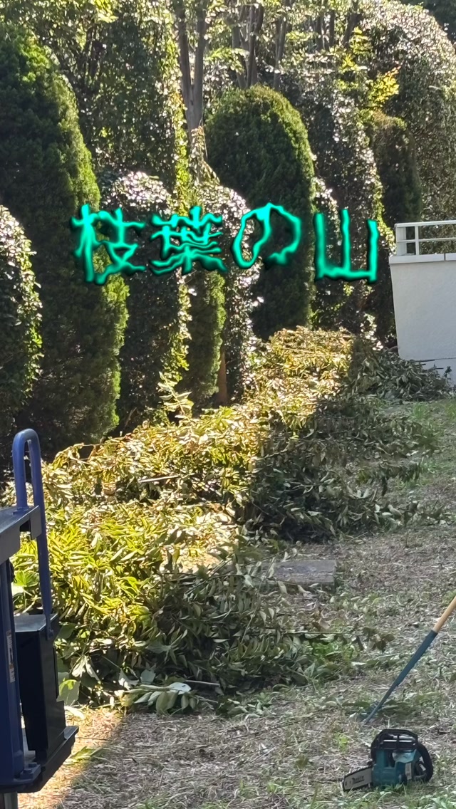 本日も晴天☀️.°
無事に終了‼️
⁡
#造園#庭師#土木#植木販売#エクステリア工事外構工事日本庭園洋風庭園ブロック工事フェンス工事街路樹管理草刈剪定伐採解体工事zouen職人さん募集中