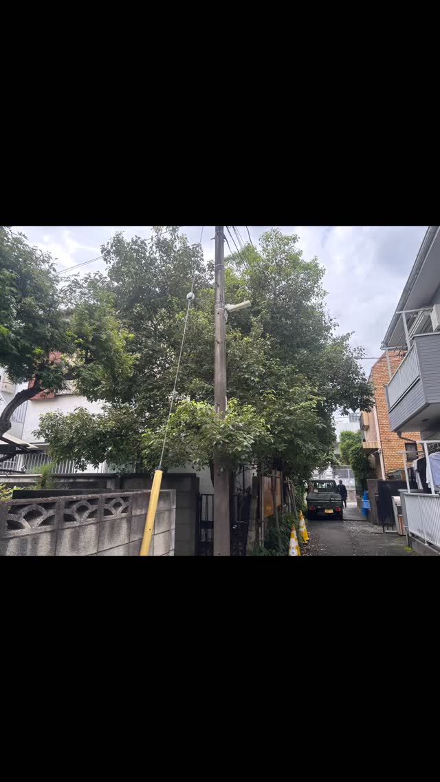 武蔵野市
⁡
電信柱に巻きついたツタ、伐採他
⁡
#造園#庭師#土木#植木販売#エクステリア工事外構工事日本庭園洋風庭園ブロック工事フェンス工事街路樹管理草刈剪定伐採解体工事zouen職人さん募集中